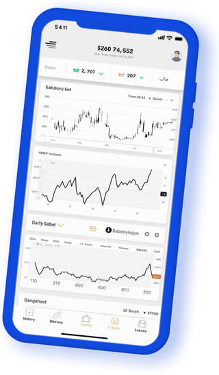 Kestrel Vaultis digital web application on mobile device